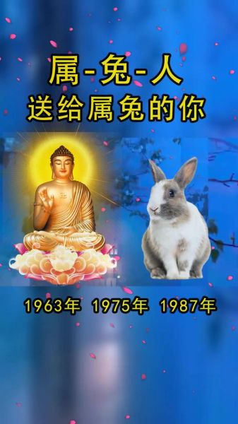 属相兔子的守护生肖（属兔的守护生肖到底是谁）