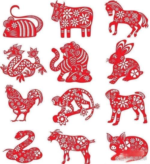 小毛属什么生肖属相（小毛属什么生肖属相？）