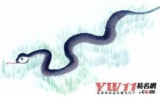 1893生肖属相（1893年属什么生肖？🤔揭秘老蛇那些事儿）