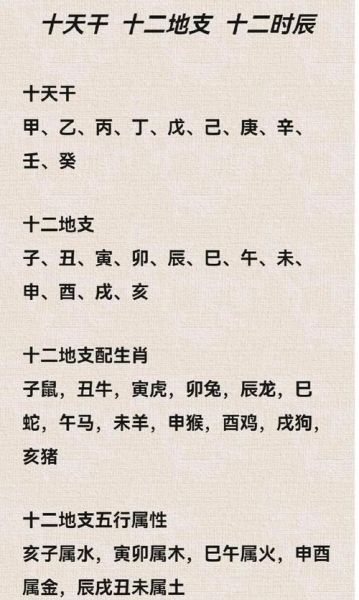 生肖属相资料（2025年生肖鼠整体运势详解）