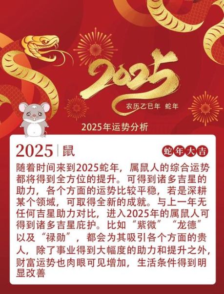 生肖属相资料（2025年生肖鼠整体运势详解）