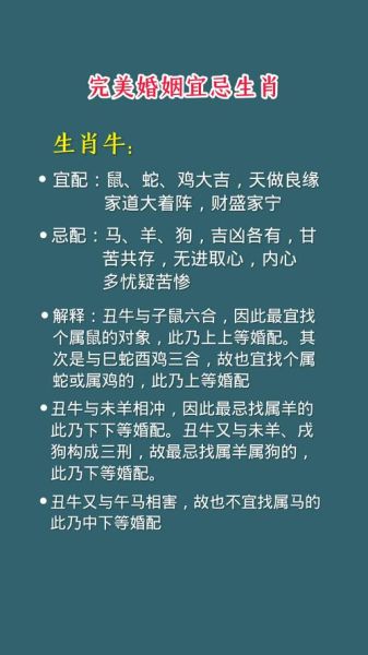 龙年结婚生肖属相(龙年结婚生肖属相避忌指南)