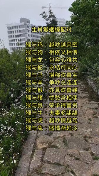 生肖老虎猴属相相配吗（生肖虎和猴相配吗？）