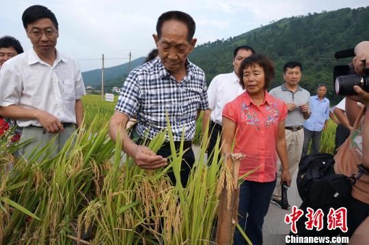 袁隆平属哪个生肖的属相