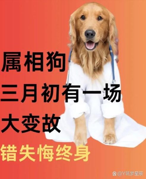 生肖狗患难与共的属相(生肖狗患难与共的属相是谁)