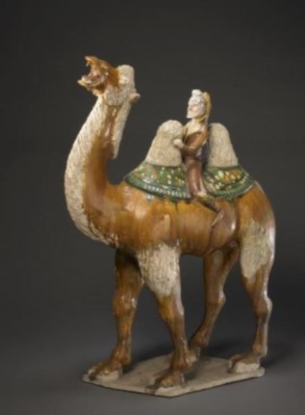 骆驼最佳生肖属相（骆驼代表什么生肖最旺）