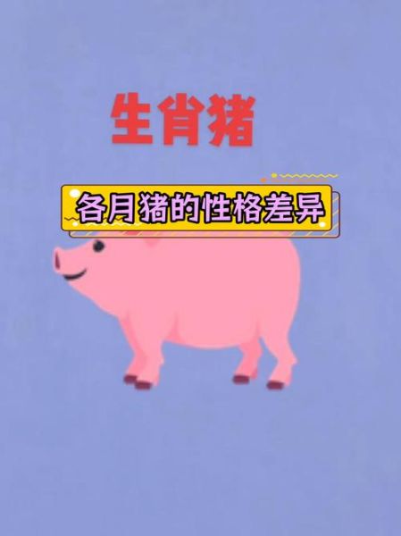 属相猪生娃生肖(属猪生什么属相宝宝最好)