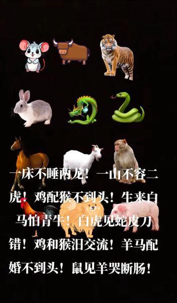 生肖属相不合的表现(生肖属相不合的表现到底有哪些)