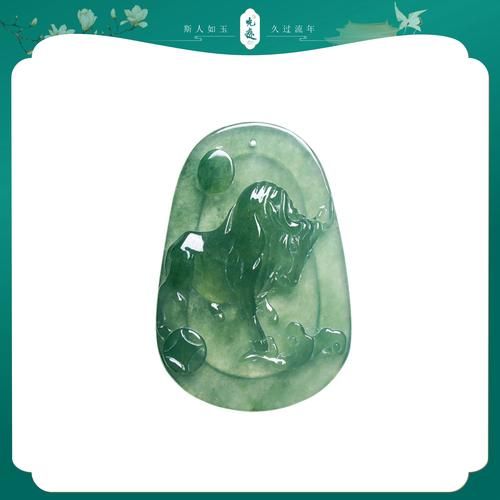 缅甸的生肖属相有几个（缅甸生肖属相有几个？揭秘小白的知识盲区）