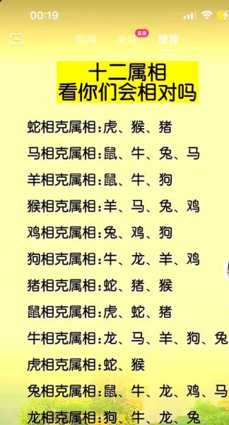 十二生肖属相相生(十二生肖属相相生相克表)