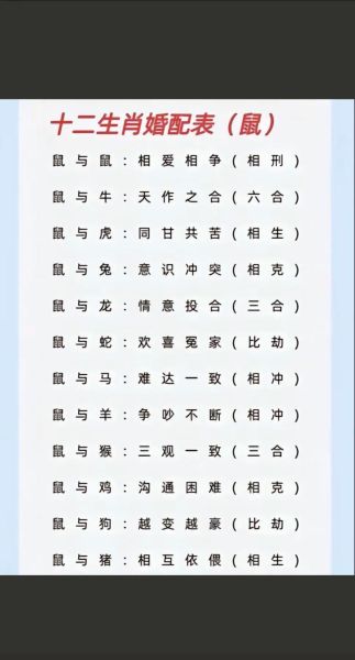 最佳生肖属相配对（2024最佳生肖属相配对详解👩‍❤️‍👨）