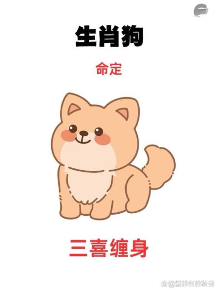 狗前面属相是什么生肖（狗前面属相是什么生肖？）