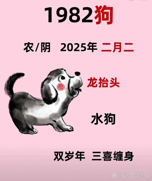 金身白毛生肖是什么属相（金身白毛是什么生肖？新手秒懂版）