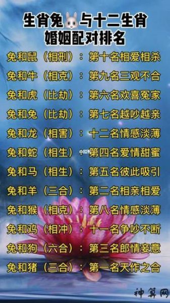 属相兔和什么生肖配(属相兔和什么生肖最配)