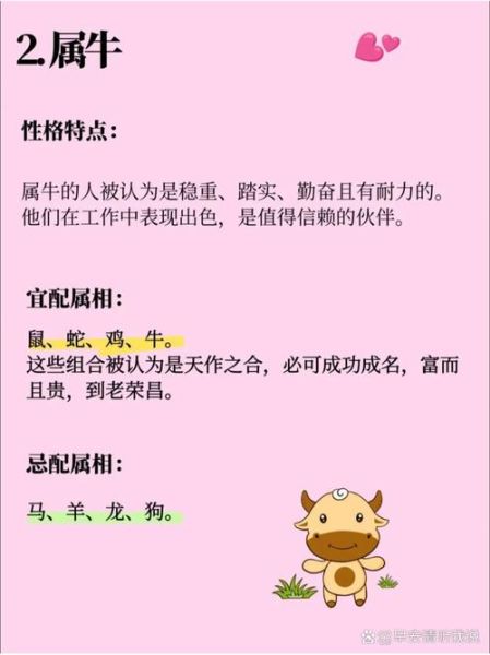 生肖马喜欢哪个属相（属马配什么属相最合？新手秒懂🐎❤️）