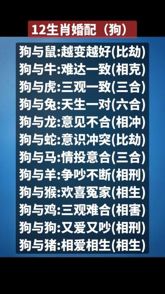 狗属相和哪个生肖合（狗属相和什么生肖最配）