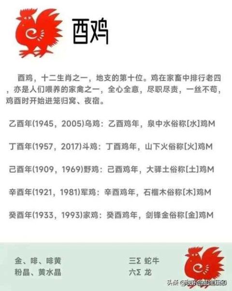 175年属什么生肖属相(175年属什么生肖)