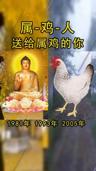 生肖鸡属相由来是什么(生肖鸡属相的由来是什么)