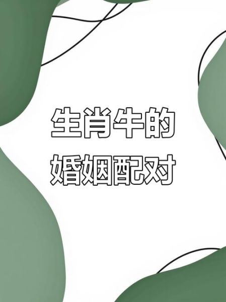 生肖牛遇到不同的属相(生肖牛和什么生肖最合婚)