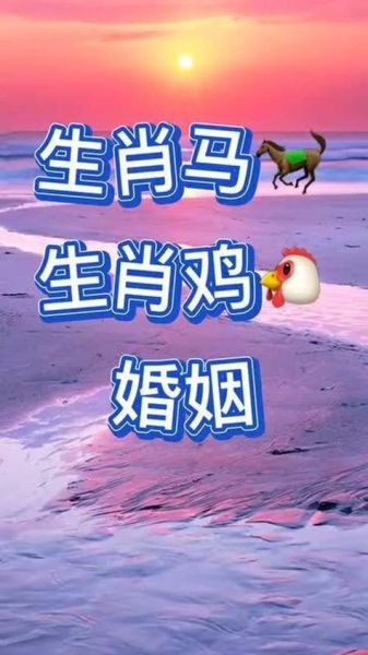 生肖鸡属相配对（生肖鸡和什么属相最配婚姻最合）