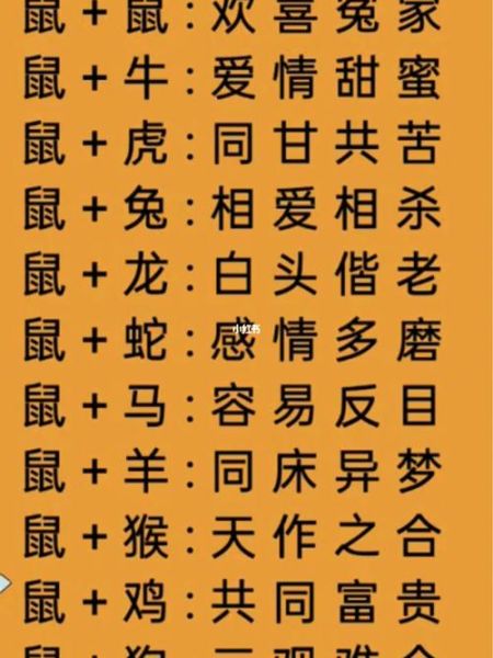 鼠生肖配偶属相(鼠生肖配偶最佳属相是谁)