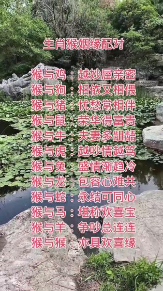 生肖猴和生肖鸡属相(生肖猴和鸡到底合不合婚)