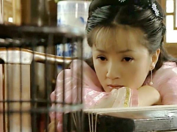 阮丹宁属什么生肖属相的(阮丹宁属什么生肖?一查便知)