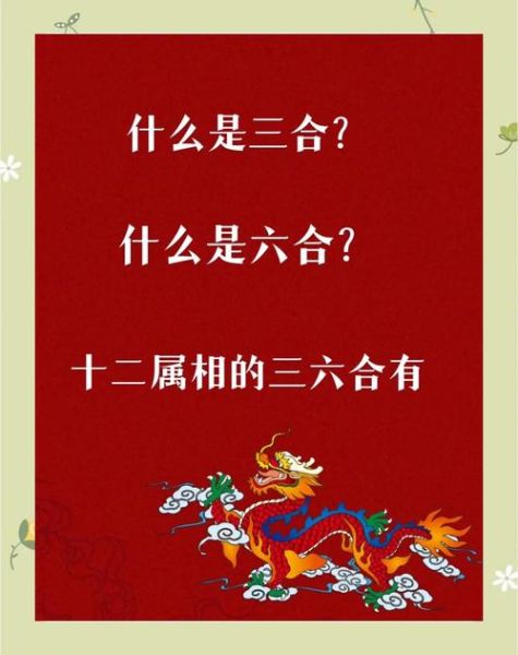 生肖属相哪个合（生肖属相哪个最配✨新手指南全解析）
