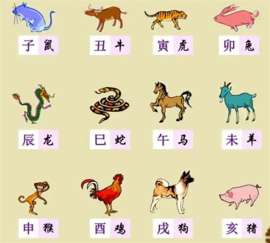 零六年的生肖属相是(零六年生肖是什么)
