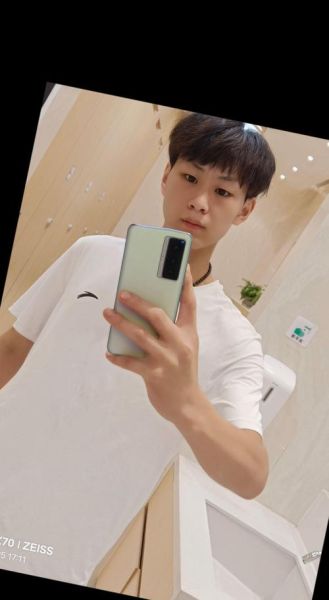 虚岁49属相是什么生肖(虚岁49属什么生肖?新手一看就懂)