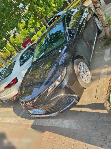 虚岁49属相是什么生肖(虚岁49属什么生肖?新手一看就懂)