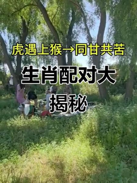 生肖猴最佳配对属相