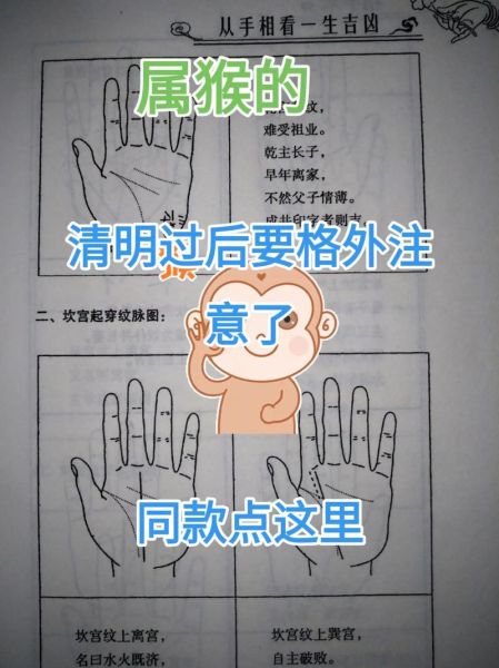 生肖猴冲属相(属猴冲什么生肖最准确化解?)