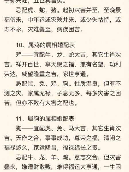 生肖鼠找什么属相对象（生肖鼠最配什么属相找伴侣）