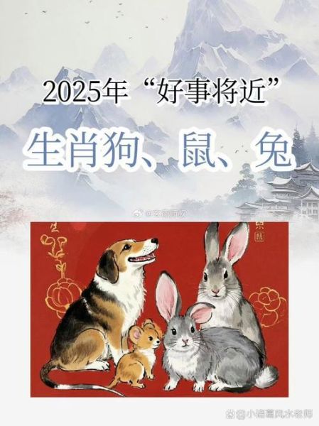 鼠狗生肖属相(鼠狗生肖属相配不配?小白速看)