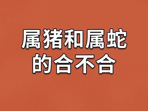 生肖蛇和猪属相(生肖蛇和猪相冲吗?婚姻如何化解🐍🐷)