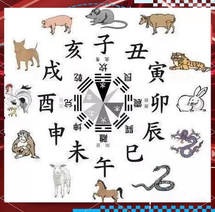 生肖属相八卦（2024龙年属相八卦大揭秘）