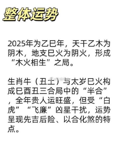属相牛戴不了什么生肖（属牛不能带什么生肖？新手避坑指南）