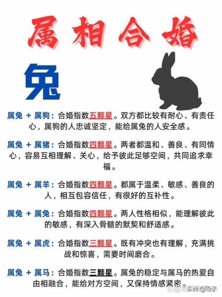 生肖兔最爱的属相(生肖兔最爱的属相配对指南)