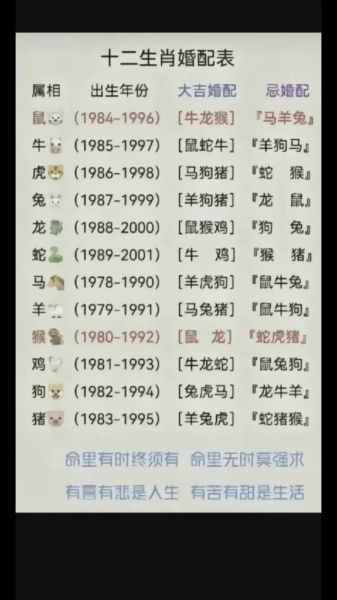 兔属相喜欢什么生肖女生(兔男喜欢什么生肖女最配)