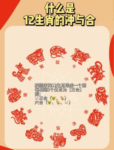 哪些生肖之间属相合(鼠和什么生肖三合六合贵人最多)