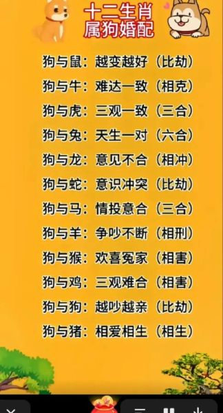 生肖狗和什么属相相刑(属狗相刑生肖有哪些?速查指南📋)