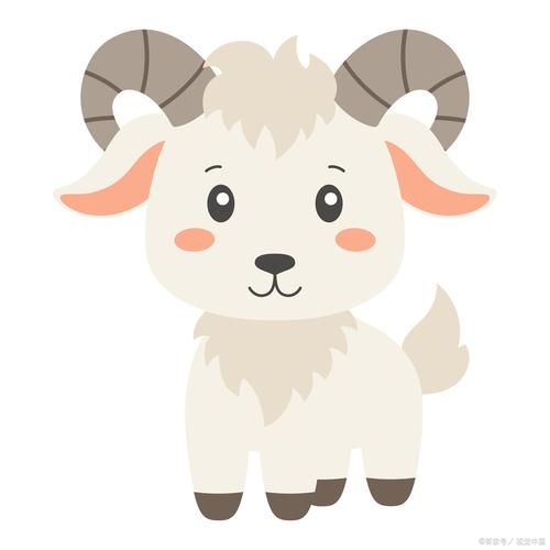 生肖羊的属相文化（属羊的新手最忌讳什么颜色）