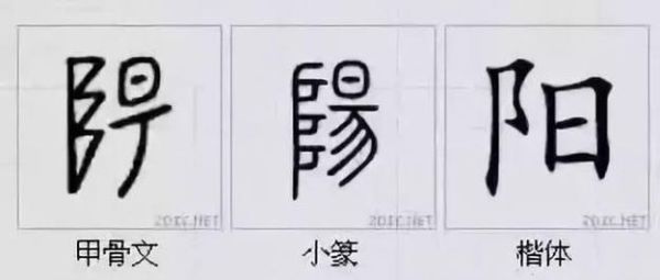 阳字的生肖属相(阳字代表什么生肖?)