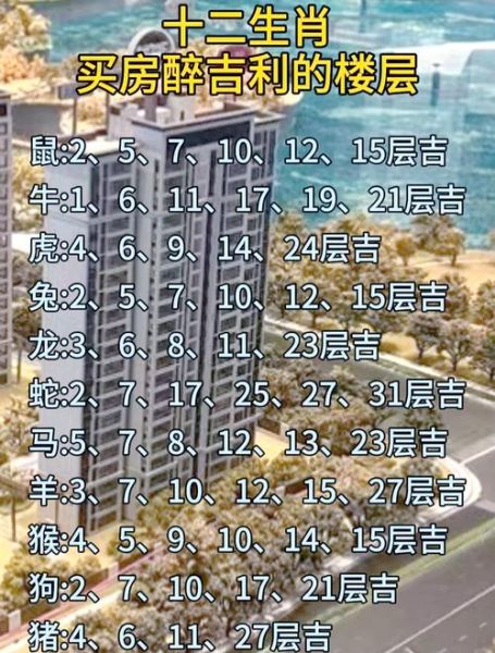 生肖龙属相适合居住楼层（属龙住几楼最旺？新手选房指南）