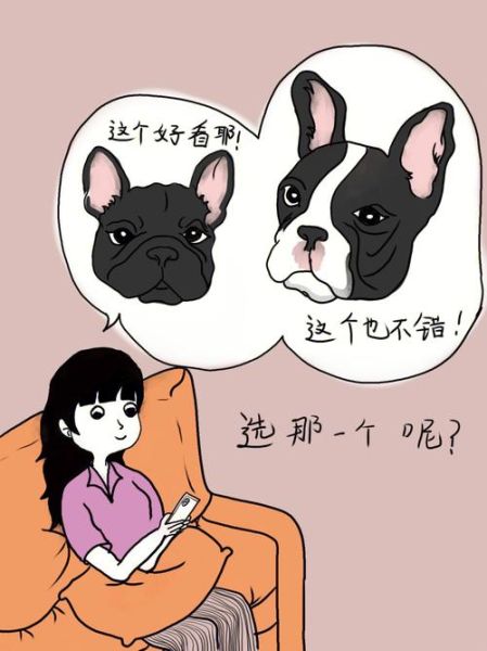 秋香属什么生肖属相(秋香生肖属什么)