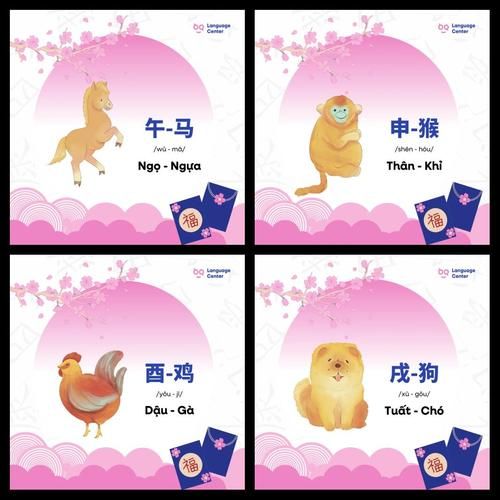 越南的生肖属相（越南生肖属相为啥没有兔）