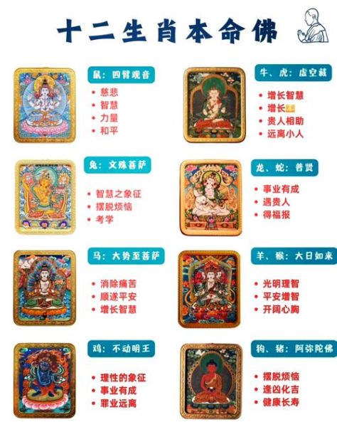 藏历生肖属相图片(藏历生肖对照表高清图怎么找?一看就会)