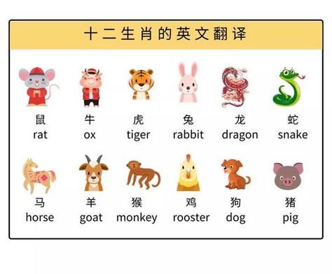 用英语排列中国生肖属相(中国生肖英文顺序怎么记?一次就懂)
