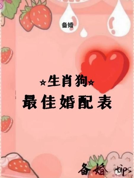 生肖狗男的合婚属相（属狗男最配属相婚姻全攻略）